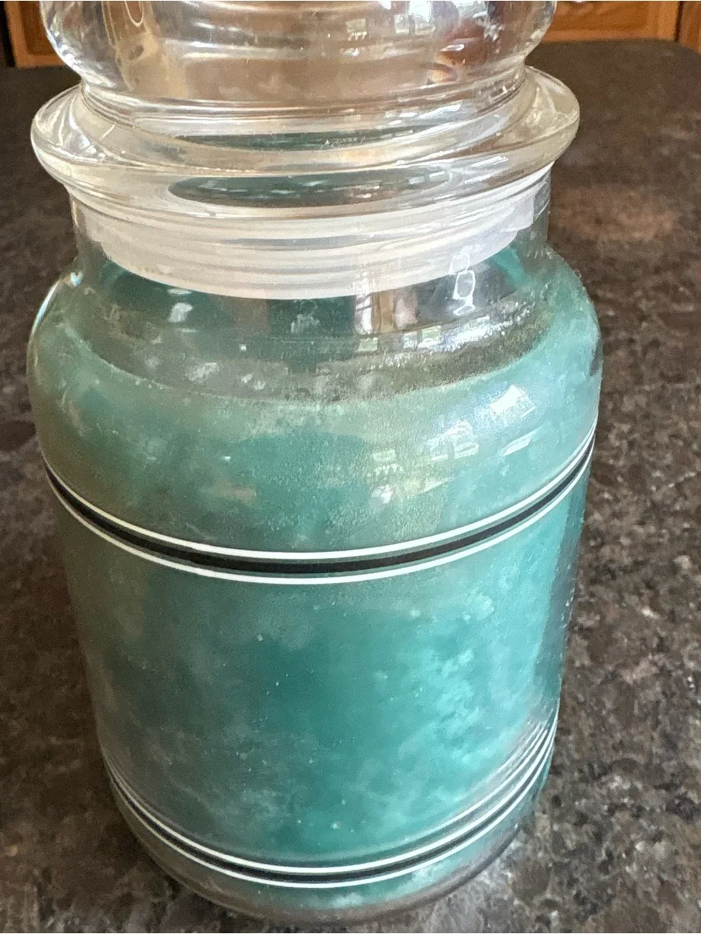 Yankee Candle 22oz Rainforest Black Band Unlit One Wick House Warmer Candle
